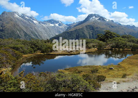 Fjordland National Park, Neuseeland Stockfoto