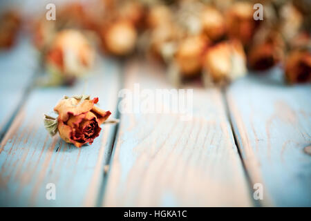 Schöne getrocknete Rosen auf hölzernen Hintergrund Stockfoto
