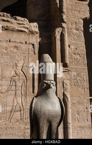 Eine Statue des Falken Gottes Horus in seinem Tempel in Edfu. Dieser Fluss Nil-Tempel ist eines der am besten erhaltenen und beliebtesten. Stockfoto