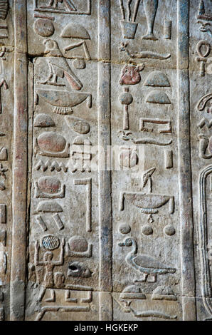 Schnitzereien an der Innenwand des Edfu Tempel, es ist eines der am besten erhaltenen Heiligtümer in Ägypten, dem Falcon Gott Horus gewidmet Stockfoto