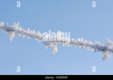 Raureif auf Stacheldraht vor blauem Himmel Stockfoto