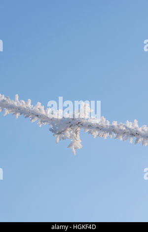 Raureif auf Stacheldraht vor blauem Himmel Stockfoto