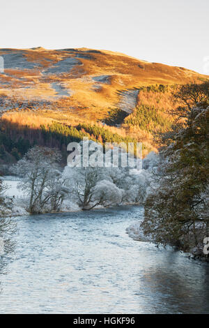 Fluss-Tweed und frostigen Winterbäume in den Scottish Borders. Schottland Stockfoto