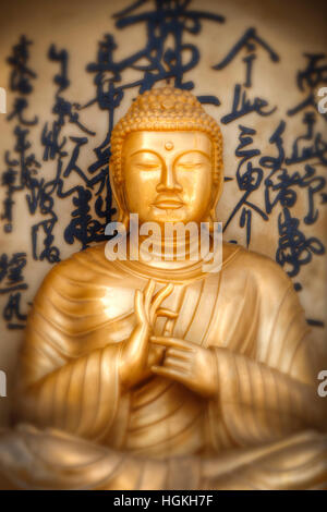 Buddha-Porträt aus der Welt Frieden Pagode, Nepal, pokhara Stockfoto