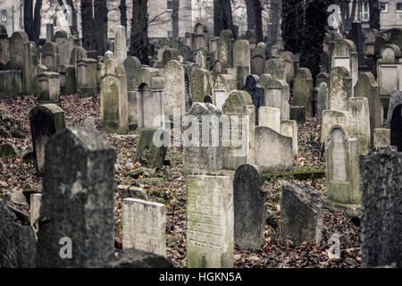 Neuer jüdischer Friedhof Krakau Polen Stockfoto