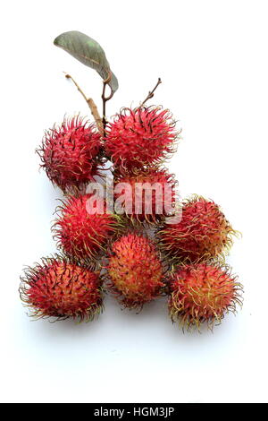 Nahaufnahme von Nephelium Lappaceum oder auch Rambutan Früchte auf weißen Hintergrund isoliert Stockfoto