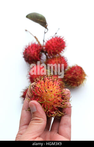 Nahaufnahme von Nephelium Lappaceum oder auch Rambutan Früchte auf weißen Hintergrund isoliert Stockfoto