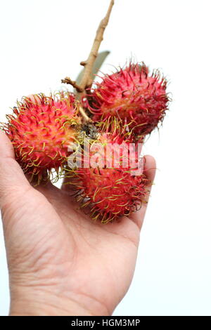 Nahaufnahme von Nephelium Lappaceum oder auch Rambutan Früchte auf weißen Hintergrund isoliert Stockfoto