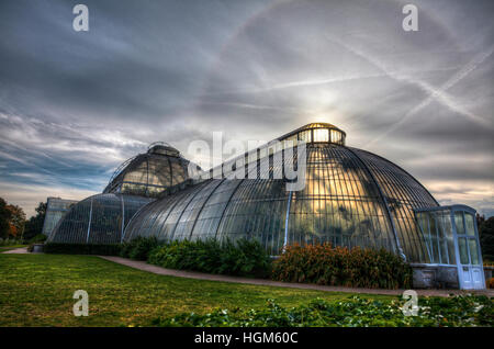 Palm-Haus Parterre mit Blütenpracht von ca. 16.000 Pflanzen, Kew Royal Botanical Gardens, Richmond, Surrey, England, GB, UK. Stockfoto