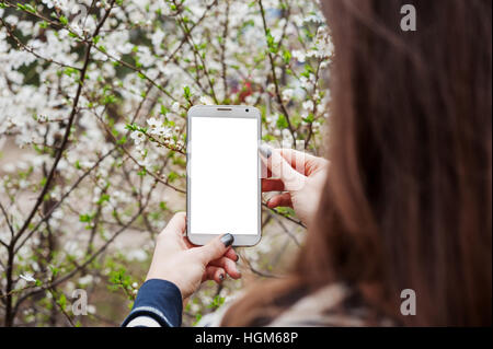 junge Frau nimmt Foto auf Smartphone blühenden Baum Frühling Stockfoto