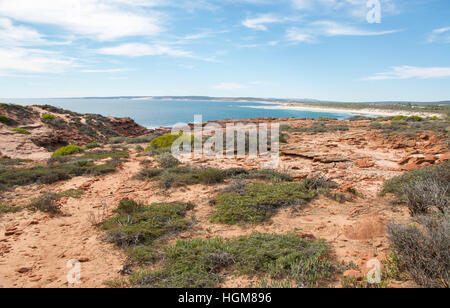 Red bluff Strand mit indischen Ozean Seelandschaft und robuste Sandstein Gelände mit einheimischer Flora in Kalbarri, Western Australia Stockfoto