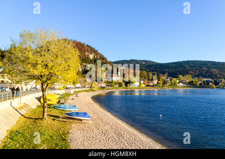 Lac de Joux, Schweiz Stockfoto