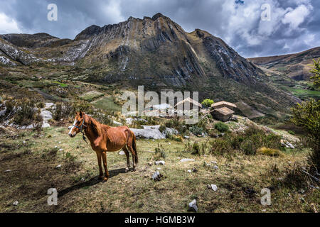 Pferd steht über ein kleines Dorf und die dramatische Berglandschaft in der Nähe von Cajabamba in Cajamarca Region von Nord-Peru Stockfoto