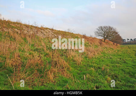 Ein Blick auf die defensive Südufers und Wand an der römischen Stadt Venta Icenorum bei Caistor St Edmund, Norfolk, England, UK. Stockfoto