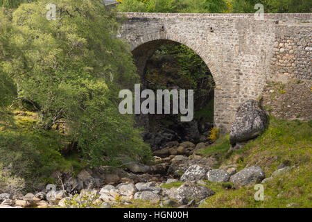 Allt Fearn brennen Brücke in der Nähe von Dornoch, Schottland. Stockfoto