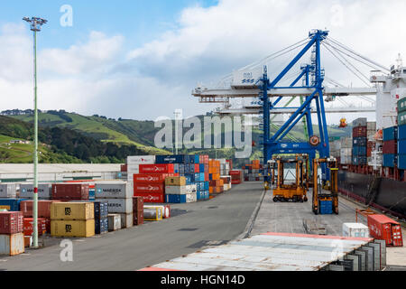 Freight Handling von Containern an der Port Chalmers, Otago Harbour, Dunedin, Neuseeland. Stockfoto