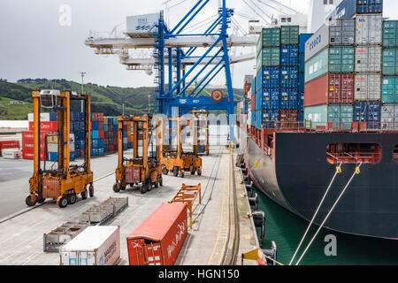 Freight Handling von Containern an der Port Chalmers, Otago Harbour, Dunedin, Neuseeland. Stockfoto