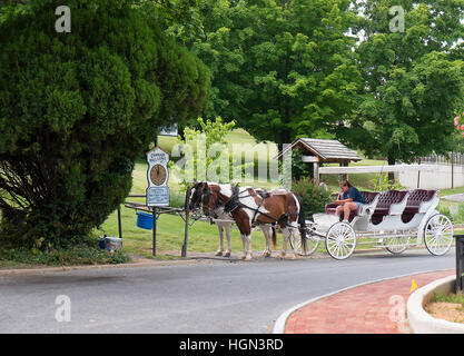 Pferd und Kutschfahrten rund um die historische Stadt Lexington Virginia schließen von Andrew Jackson-Haus Stockfoto