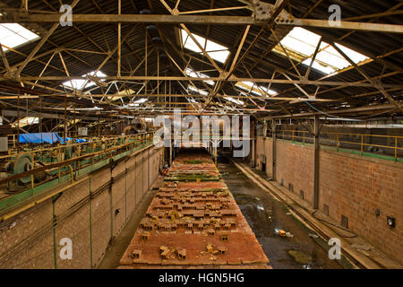 Einer der Produktionslinien in Uhr Haus Ziegelei, Capel, in der Nähe von Dorking, Surrey, UK Stockfoto