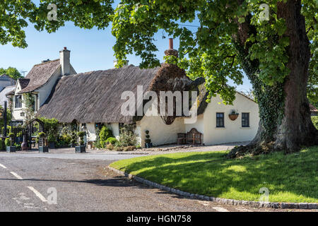 Das Star Inn at Harome Stockfoto