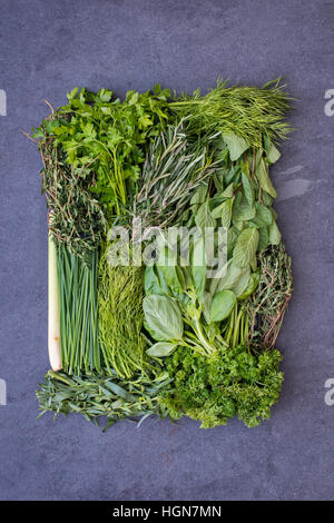 Frische Kräuter auf einer Schiefertafel Hintergrund Stockfoto