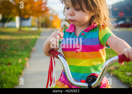 Ein junges Mädchen hält einen Löwenzahn sitzend auf einem Dreirad. Stockfoto