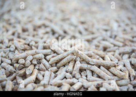 Nahaufnahme von Haufen von Tanne pellets Stockfoto