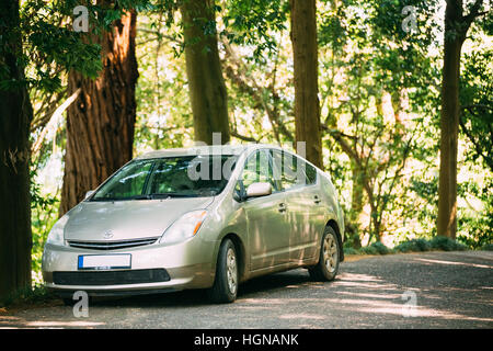 Batumi, Adscharien, Georgia - 27. Mai 2016: Toyota Prius ist ein Automobil full-Hybrid-Elektroauto auf Landstraße im Wald geparkt ist. Prius ist weltweit zu Stockfoto