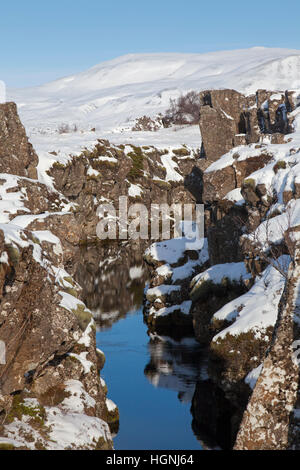 Nikulasargja Canyon im Schnee im Winter, Nationalpark Thingvellir, Island Stockfoto