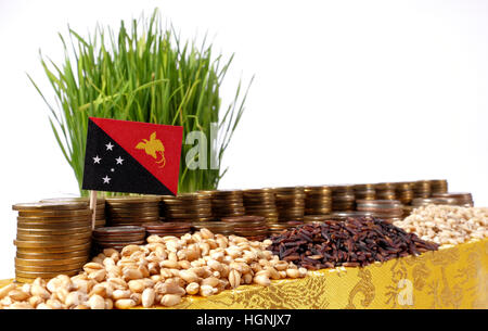 Papua-Neu-Guinea Fähnchen mit Stapel von Geld Münzen und Haufen von Weizen und Reis Samen Stockfoto