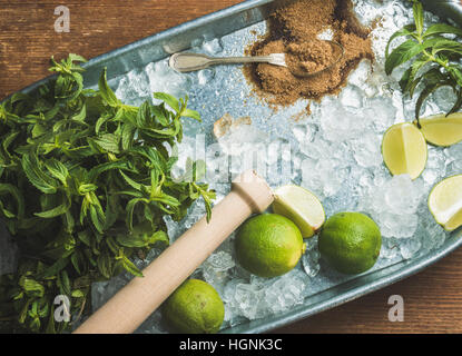 Zutaten für die Herstellung von Mojito Sommer cocktail auf dem Eis im tray Stockfoto