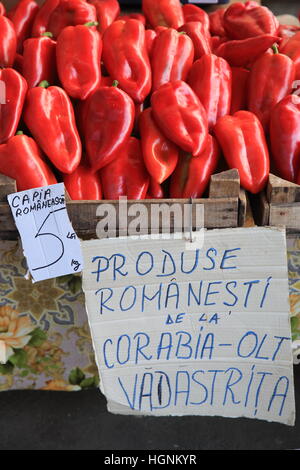 Frisch, lokal produziert rote Paprika auf Obst und Gemüse Markt in Siebenbürgen, Rumänien, Osteuropa Stockfoto