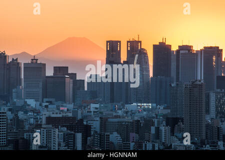 Am Abend Szene, Blick Wolkenkratzer von Shinjuku und Mt. Fuji, vom Bunkyo-Ku, Tokyo, Japan Stockfoto