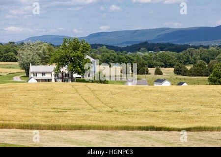 Antietam Battlefield, Maryland.  Bebaute Felder decken heute das Schlachtfeld.  Mumma Bauernhaus auf der linken Seite. Stockfoto