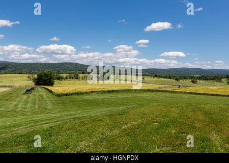 Antietam Battlefield, Maryland, südöstlich in Richtung Bloody Lane und Aussichtsturm in der Ferne suchen. Stockfoto