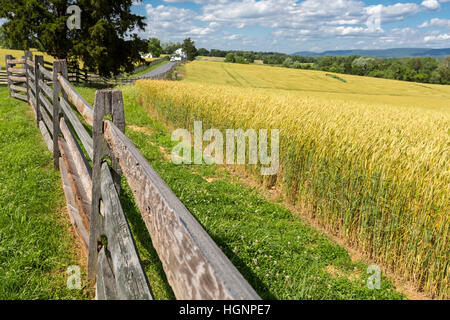 Antietam Bürgerkrieg Schlachtfeld, Maryland, Blick nach Norden.  Bebaute Felder decken heute das Schlachtfeld. Stockfoto