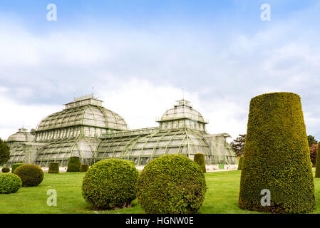 Palmenhaus-Pavillon-Gewächshaus im Garten von Schloss Schönbrunn, Wien, Österreich Stockfoto