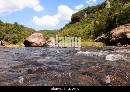 Kleine Stromschnellen auf der Big South Fork der Cumberland River ordentlich Stearns, Kentucky. Stockfoto