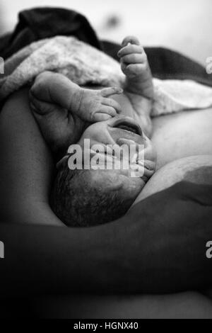 ZU HAUSE GEBÄREN Stockfoto