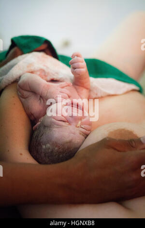 ZU HAUSE GEBÄREN Stockfoto