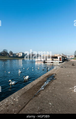 Fluss Wisia, Krakau Stockfoto