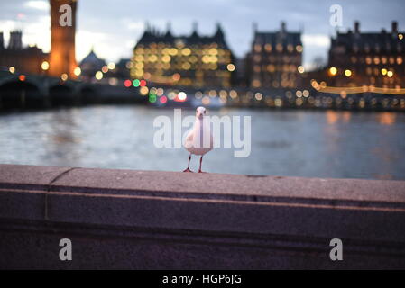 London, UK. 11. Januar 2017. Späten Nachmittag Blick auf Londoner Southbank und The City Skyline mit seinen Lichtern, von den Houses of Parliament und Big Ben zu Waterloo Bridge in London, Vereinigtes Königreich. Bildnachweis: Alberto Pezzali/Pacific Press/Alamy Live-Nachrichten Stockfoto