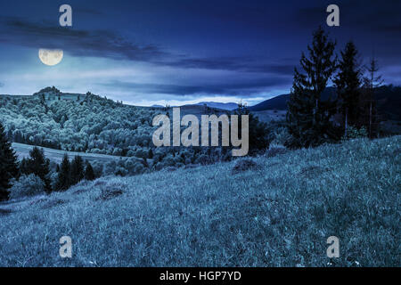 Abhang des Gebirges mit Fichtenwald auf der Wiese in der Nacht im Vollmondlicht Stockfoto
