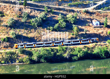 im Douro-Tal Portugal trainieren Stockfoto