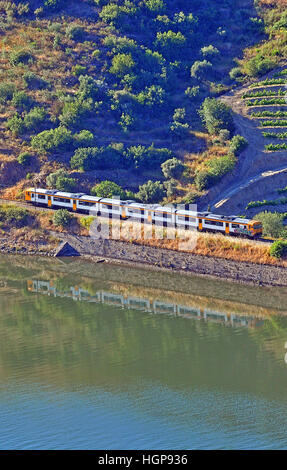 im Douro-Tal Portugal trainieren Stockfoto