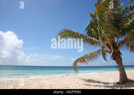Wunderschönen türkisfarbenen Meer & goldenen Sand am Strand, Falmouth, Jamaika, Karibik. Stockfoto