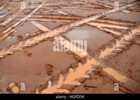 Schlammige Spuren links von einem Bus stecken im Schlamm, Outback, Queensland. Stockfoto