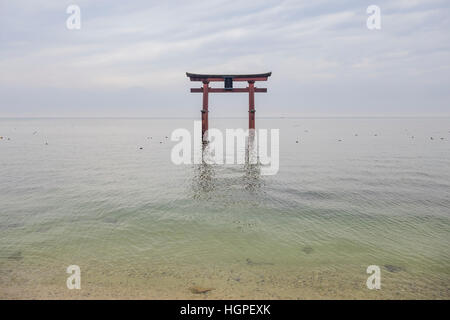 Das Torii im Biwa-See, Shirahige-Schrein in Japan Stockfoto