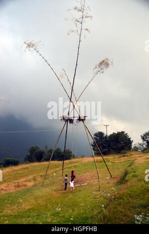 Kinder schwingen auf einem traditionellen Bambus (Dashain) Swing im Dorf Kande, Annapurna Sanctuary, Himalaya, Nepal, Asien. Stockfoto