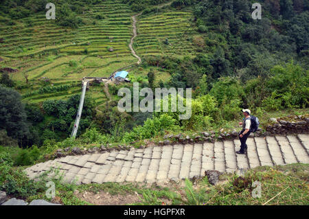 Einsamer Mann hinunter Steinstufen, die neue Gurkha-Hängebrücke von Chomrong Annapurna Sanctuary, Himalaya, Nepal, Asien. Stockfoto